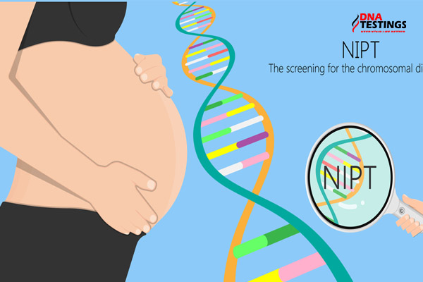 Những điều cần biết về xét nghiệm NIPT dành cho mẹ bầu