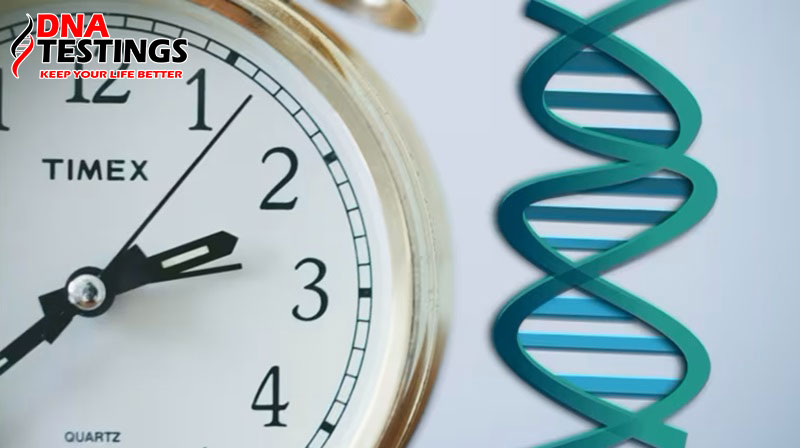 Thời gian xét nghiệm ADN