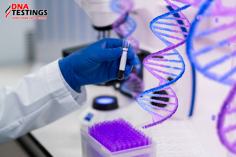 Ưu điểm khi xét nghiệm ADN tại DNA TESTINGS