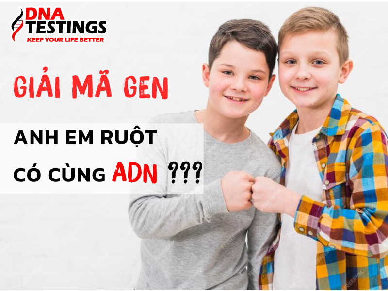 Giải Đáp: Giữa anh em ruột có cùng ADN không? Vì sao?