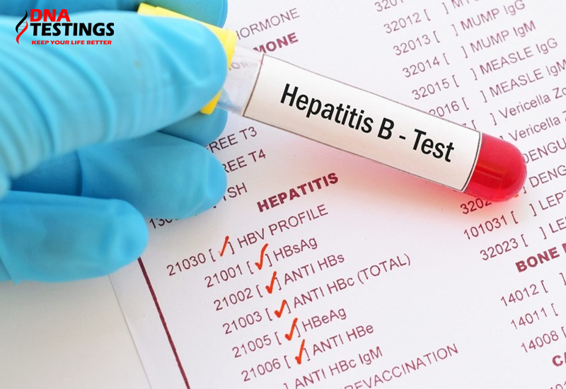 xét nghiệm hpv virus viêm gan b
