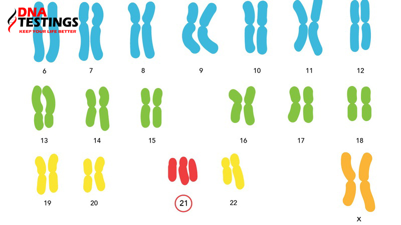 độ chính xác của double test và triple test