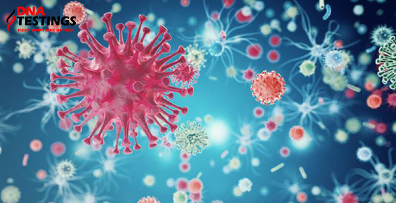 triệu chứng virus viêm b