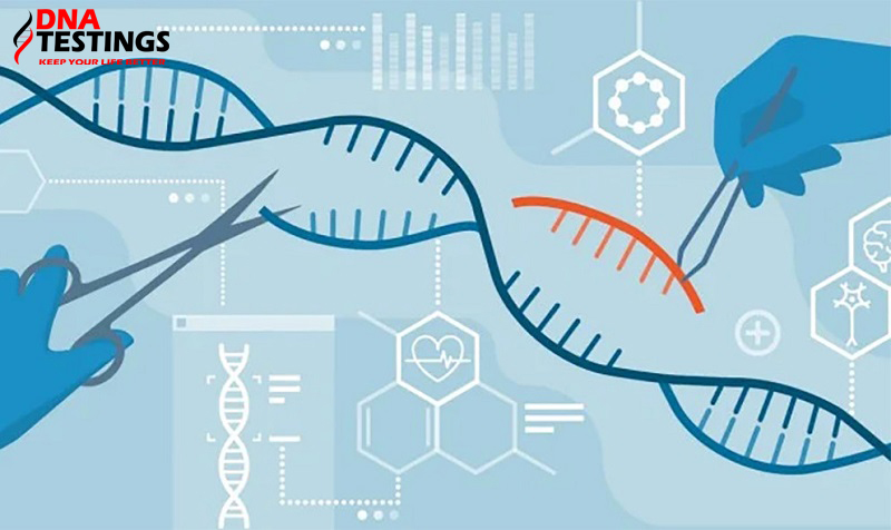 xét nghiệm pcr là gì