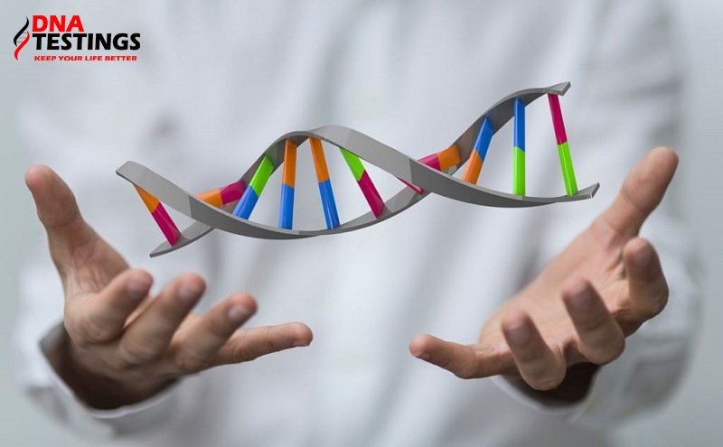 ý nghĩa về kết quả xét nghiệm adn