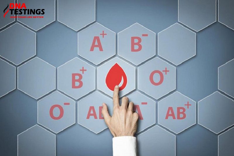 Sự di truyền nhóm máu A, B, AB, O giữa cha mẹ và con cái