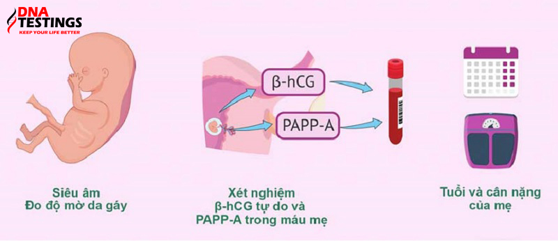 double test là xét nghiệm gì